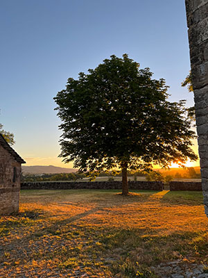 Couleur du soir