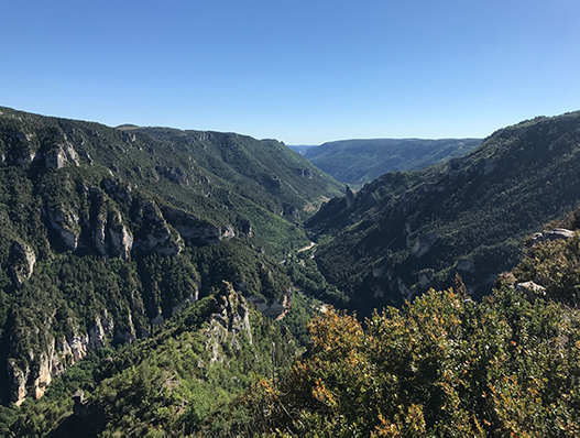 Les gorges du Tarn